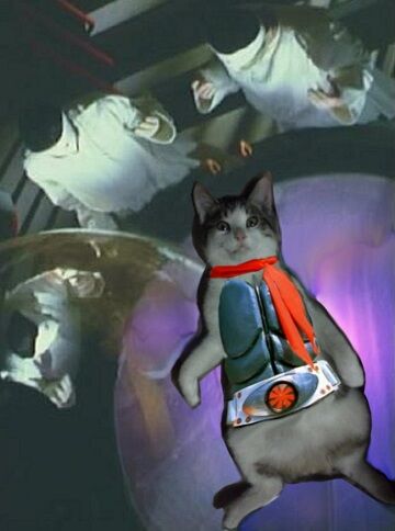 仮面ニャンだぁ~。