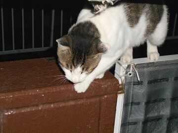 7月13日（56）仮