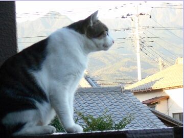 10月4日（60）仮