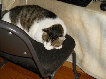 6月26日（11）仮