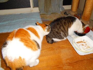 12月8日（13）仮