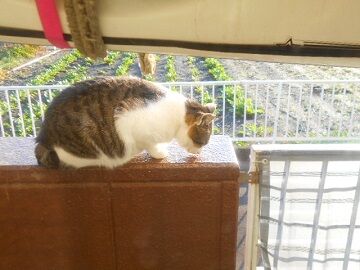 12月12日（13）仮