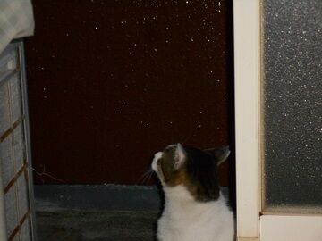 9月12日（5-5）仮