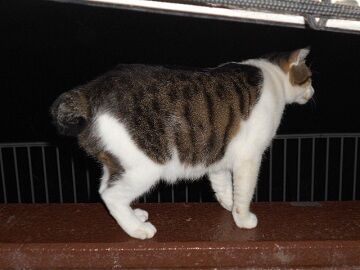 8月29日（19）仮