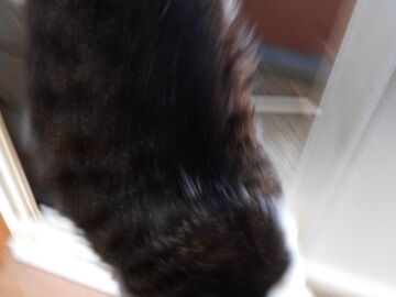 5月18日（80）仮