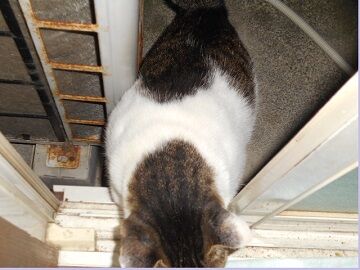 9月18日（41）仮