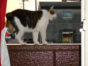 9月20日（5-28）仮