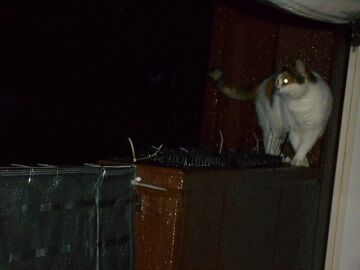 9月3日（18-10）仮