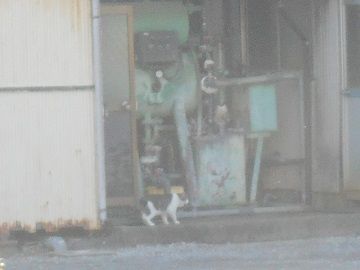 3月18日(5)仮