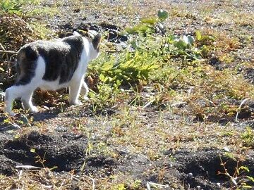 9月30日（7-20）仮