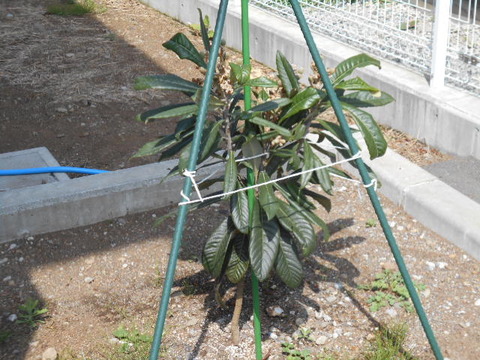 DSCN0824