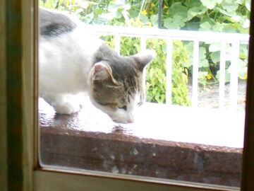 6月24日（18）仮