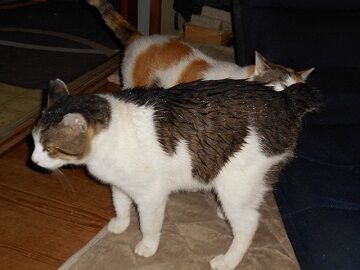 6月25日（12）仮