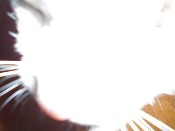 11月22日（7）仮