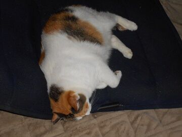 9月21日（16-4）仮