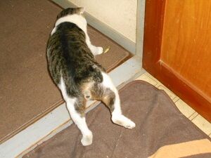 8月23日（80）仮