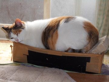 6月24日(8)仮