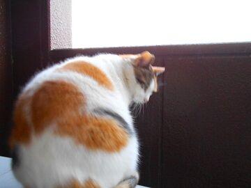 12月20日（16）仮