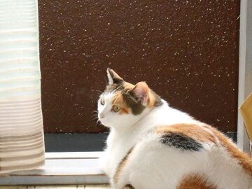 10月7日（29）仮