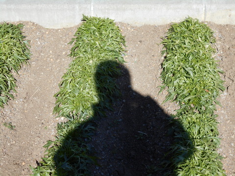 DSCN0048
