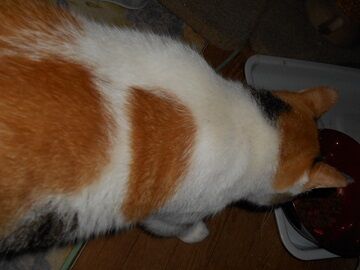 9月17日(19-3)使用