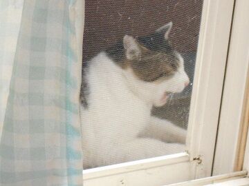 6月26日（23）仮