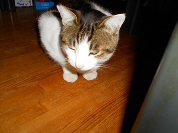 12月20日（33）仮