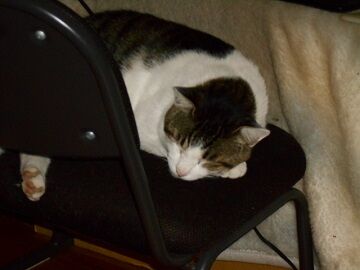 9月28日（9-2）仮