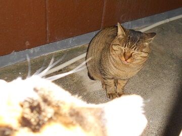 12月15日（35）仮