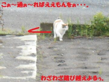 9月14日（6-6）仮