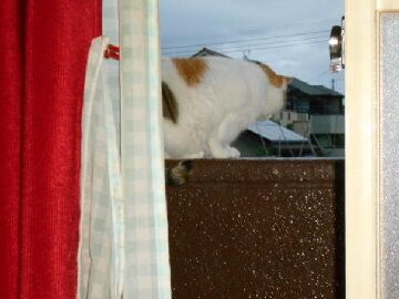 7月21日（23）仮