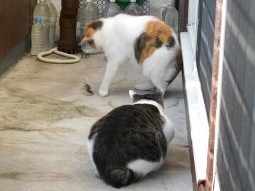 9月30日（6-13）仮