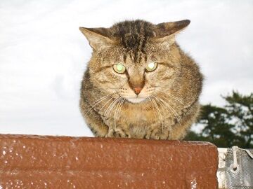 5月28日（43）仮