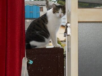 9月29日（18）仮