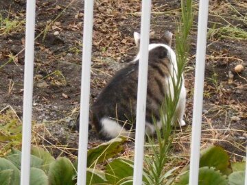 9月27日（7-2）仮