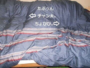 10月7日（20-8.5）