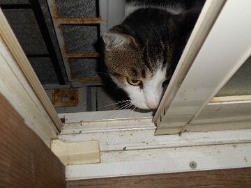 9月17日（5-1）仮