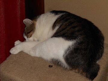 9月25日（22-2）仮