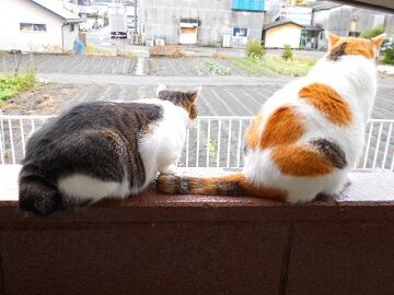 10月20日（26）仮