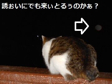 4月5日（50）仮 - コピー