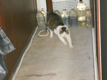 12月29日（14）仮