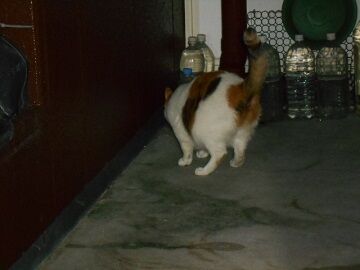 9月30日（20-5）仮