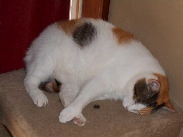 9月30日（8-4）仮