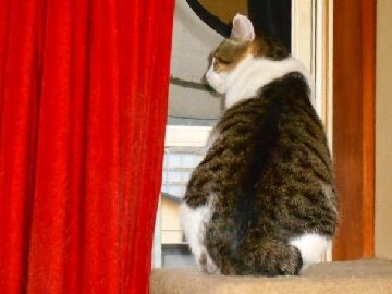 10月18日（11）仮