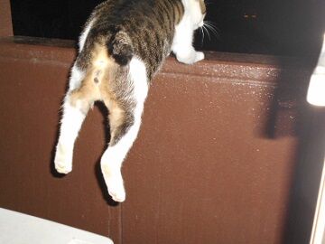 9月29日（20-2）仮