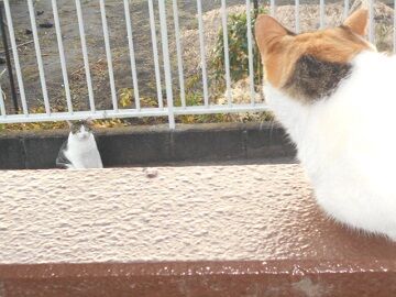 9月30日（34）仮