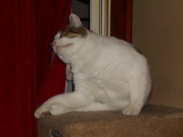 9月21日（5-16）仮