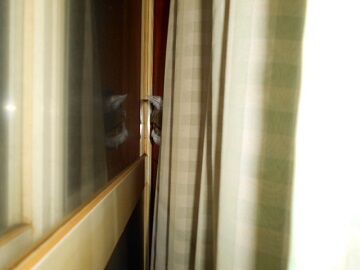 2月16日（54）仮