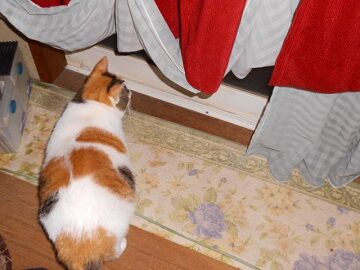 10月4日（5-1）仮