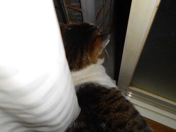 4月12日（26）仮